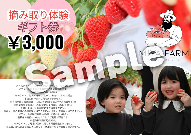 【先行受付】MIYA FARM いちごお持ち帰りギフト券 3,000円分 ※2026年12月?発送