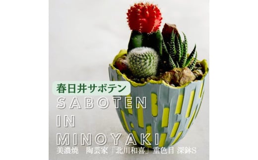 多治見市×春日井市コラボ 【美濃焼】 陶芸家「北川和喜」 重色目 深鉢S × 【日本有数のサボテン産地】 春日井市の名店 後藤サボテン 