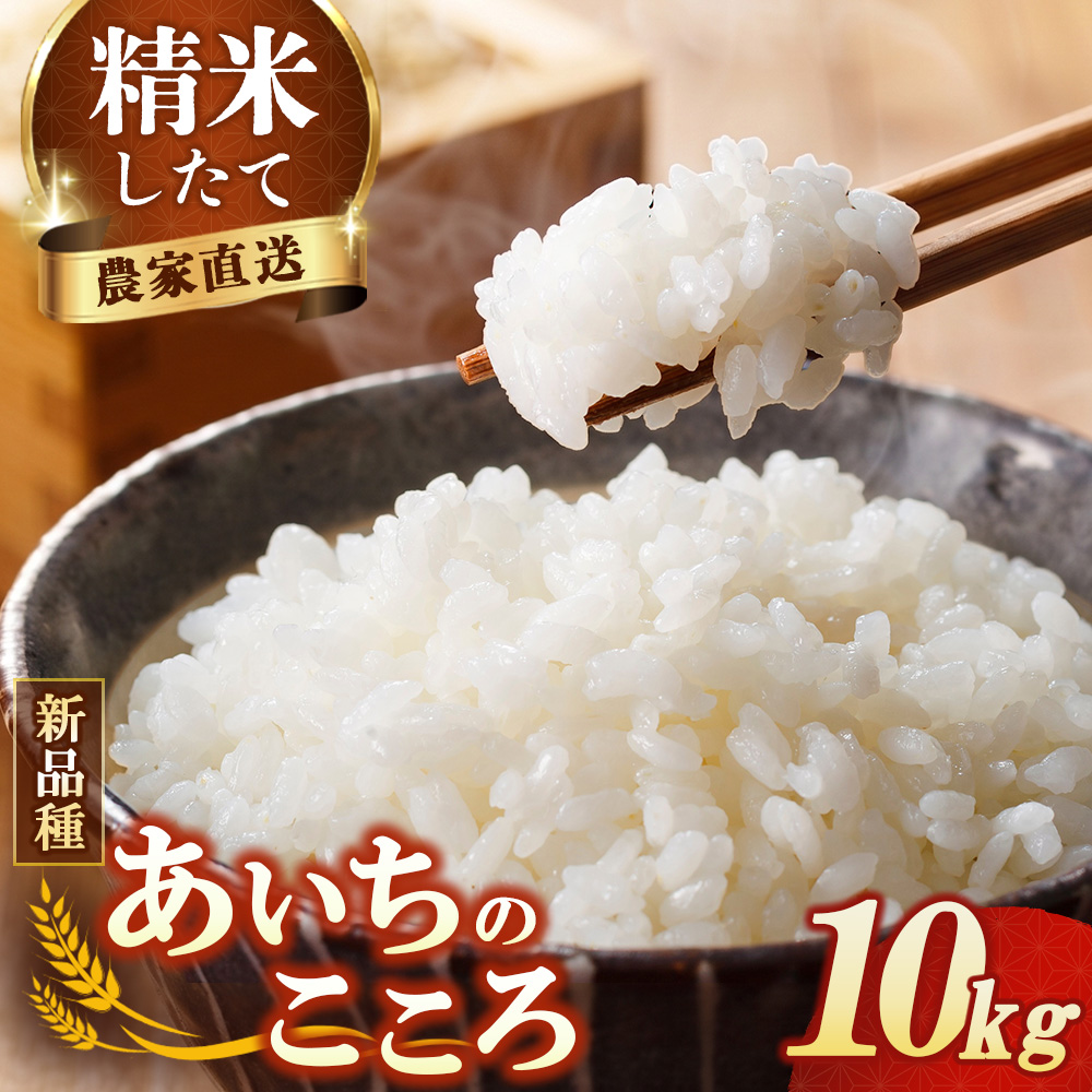 【先行予約】新米 令和8年産 あいちのこころ 10kg ※2026年10月～発送