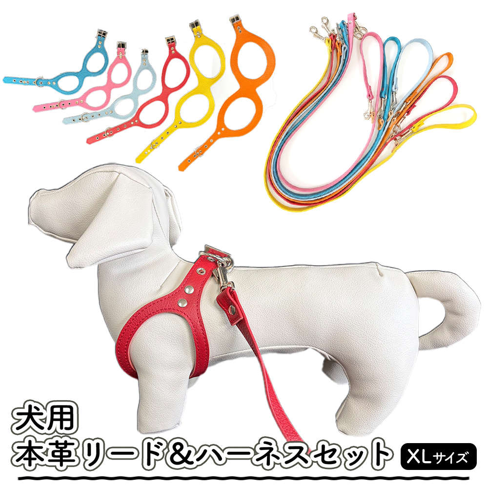 犬用・本革リード、ハーネスセット XLサイズ | リード ハーネス セット 犬 おしゃれ