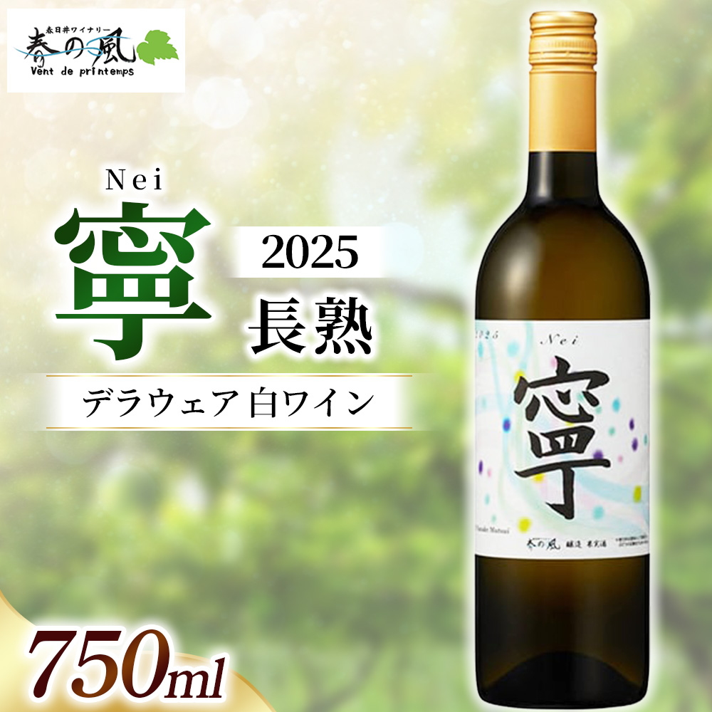 春日井ワイナリー春の風 2025(寧 長熟)デラウェア 白ワイン 750ml