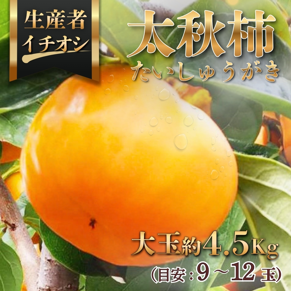 太秋柿（たいしゅうがき）約4.5kg（目安：9～12玉）　※2026年11月～発送