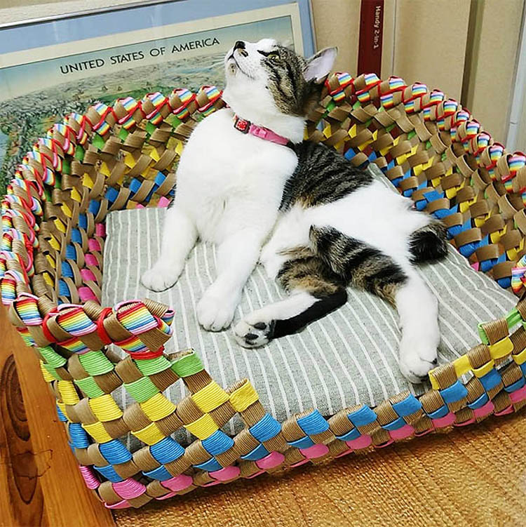 紙バンドで編んだペットベット（完成品）