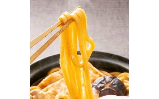 かわべ麺 生みそ煮込みうどん 8袋 合計16食入り合計約2.5kg（1袋2食入り：320g めん120g×2・みそ40g×2）| 名古屋めし お取り寄せ ギフト グルメ コシ のどごし 国産 お歳暮 味噌 味噌煮込 赤みそ 赤味噌 生麺 生めん 麺類 食品 冷蔵 愛知県 春日井市
