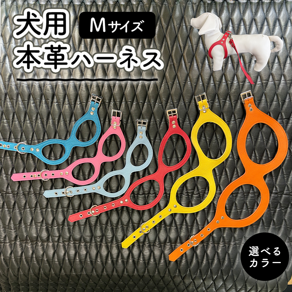 犬用・本革ハーネス Mサイズ | ハーネス 犬 おしゃれ