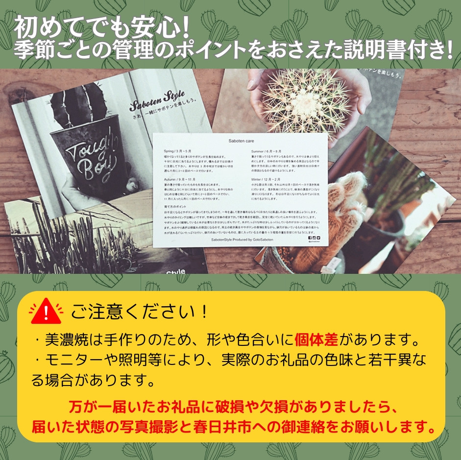 多治見市×春日井市コラボ 【美濃焼】 MINO MAKELAY Tall 鉢 黒土マーブル × 【日本有数のサボテン産地】 春日井市の名店 後藤サボテン