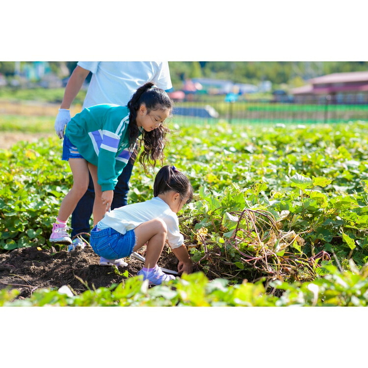 手ぶらで気軽に「農」に触れることができる！ あい農パーク春日井施設利用券【3,000円分】