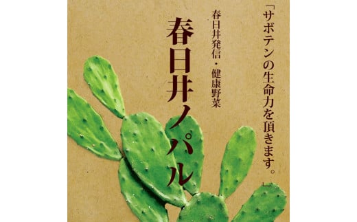 メキシコ生まれ春日井育ちの健康野菜 食べるサボテン 春日井ノパル 300グラム×2パック ※2026年4月上旬?12月上旬頃に順次発送予定