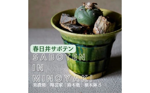 多治見市×春日井市コラボ 【美濃焼】 陶芸家「鈴木徹」植木鉢 S × 【日本有数のサボテン産地】 春日井市の名店 後藤サボテン 