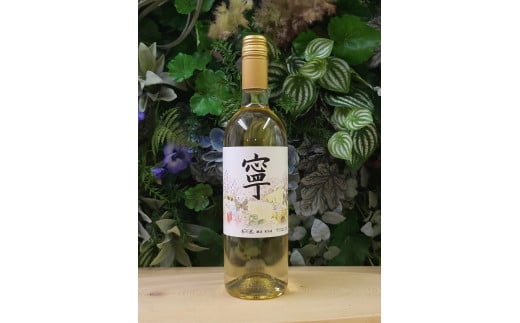 春日井ワイナリー 春の風 (寧) デラウェア 白ワイン 750ml | 白 ワイン 日本ワイン 国産ワイン ロゼ 国産 葡萄100%ワイン ぶどう100% デラウェア ライト 甘口 香り 春日井 ワイナリー ご当地 アルコール ギフト 贈り物 Japanese Wine 愛知県 春日井市