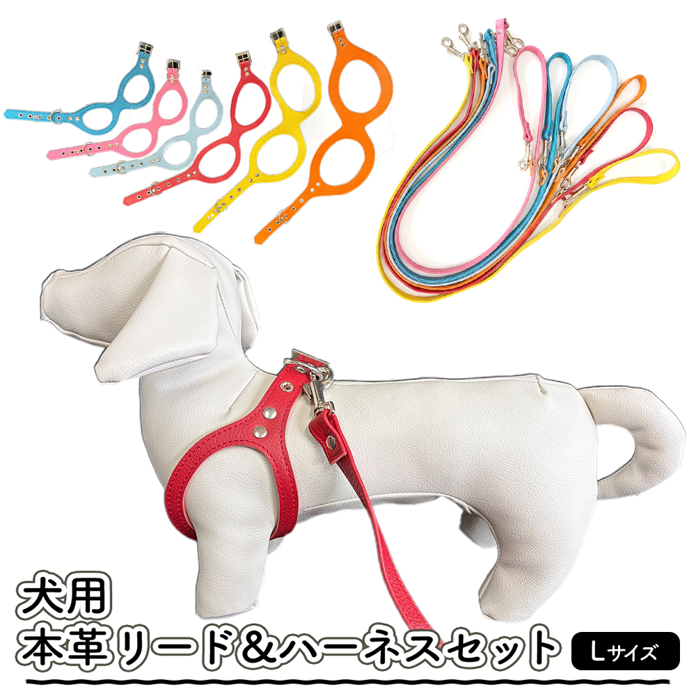 犬用・本革リード、ハーネスセット Lサイズ | リード ハーネス セット 犬 おしゃれ