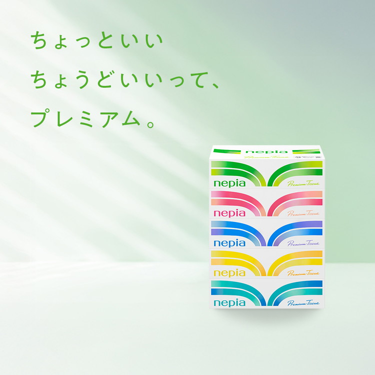 ネピアティシュ５箱×12パック | 日用品 消耗品 必需品 大容量 ティッシュ ボックスティッシュ 箱ティッシュ ストック 花粉症 花粉 防災 備蓄 まとめ買い 全国 発送 一人暮らし nepia ネピア プレミアム
