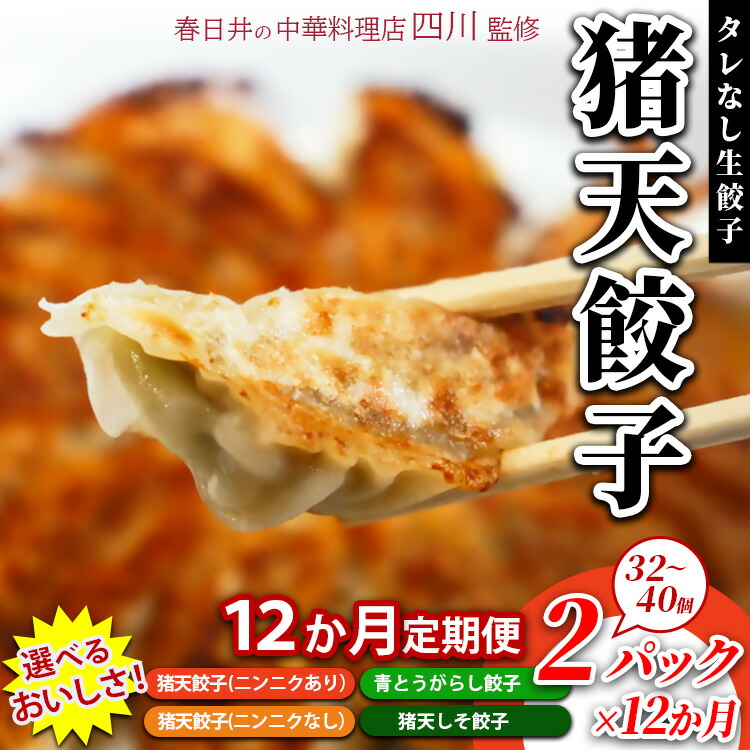 【12ヶ月定期便】春日井の中華料理店四川監修タレなし生餃子「猪天餃子」 12ヶ月コース