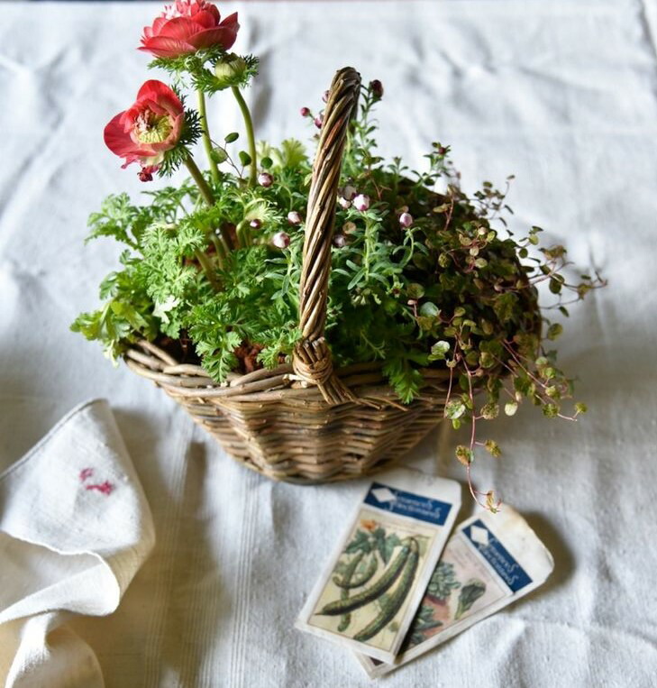 ◇お任せ◇　季節の寄せ植え