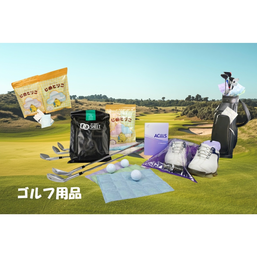 【定期便4回（3か月に1回）】靴専用 シリカゲル乾燥剤 ACiliS（アシリス）（1足分） | 湿気とり 日用品 除湿 乾燥剤 コンパクト 湿気取り 湿気対策 脱臭 梅雨 夏 愛知県 春日井市