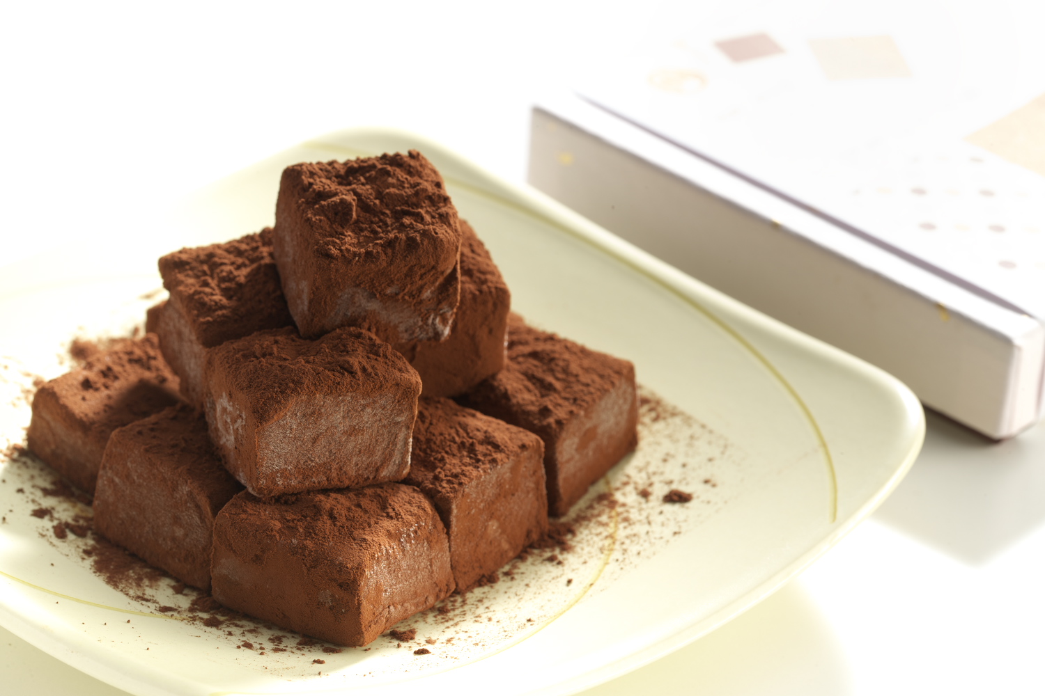 新感覚スイーツ「生チョコ餅」2箱（1箱：8個入り）