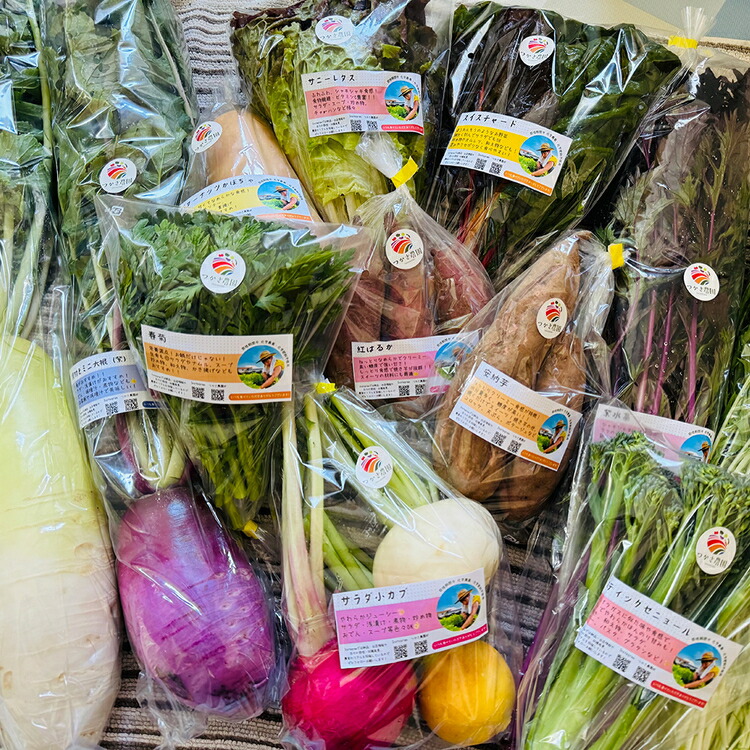 つかさ農園 季節のお野菜詰め合わせ（6?8種） ※北海道・沖縄・離島への配送不可 ※2026年6月中旬?9月下旬頃に順次発送予定