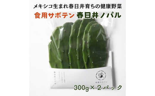 メキシコ生まれ春日井育ちの健康野菜 食べるサボテン 春日井ノパル 300グラム×2パック ※2026年4月上旬?12月上旬頃に順次発送予定