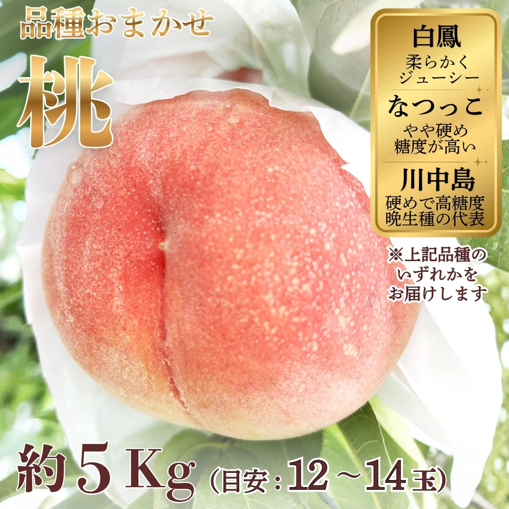 桃（品種おまかせ：白鳳、なつっこ、川中島　のいずれか）約5kg（目安：12～14玉） ※2026年7月～発送