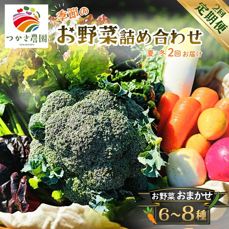 【定期便2回（夏・冬）】つかさ農園 季節のお野菜詰め合わせ（6?8種） ※北海道・沖縄・離島への配送不可