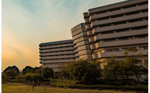 【贈り物にも】トワイライトドック?夕方からの脳の健康診断?