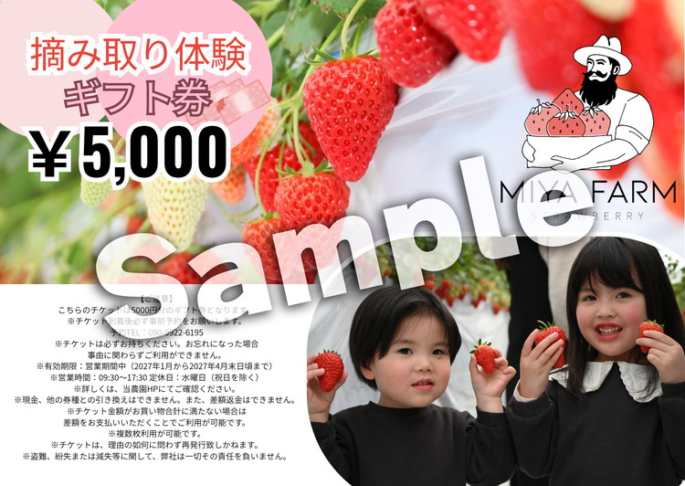 【先行受付】MIYA FARM いちごお持ち帰りギフト券 5,000円分 ※2026年12月?発送