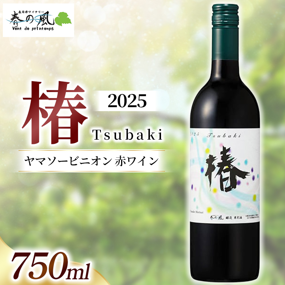 春日井ワイナリー春の風 2025(椿)ヤマソービニオン 赤ワイン 750ml