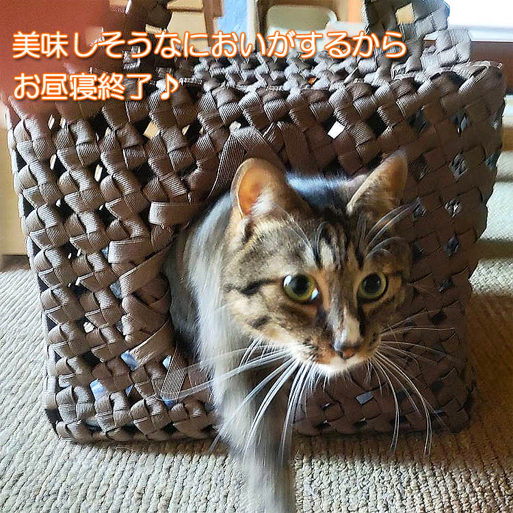 紙バンドで編んだおニャンコハウス（ねこちぐら）（完成品）