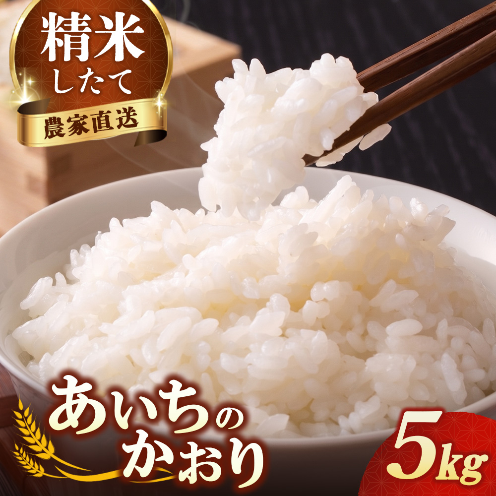 【先行予約】新米 令和8年産 あいちのかおり 5kg ※2026年10月～発送