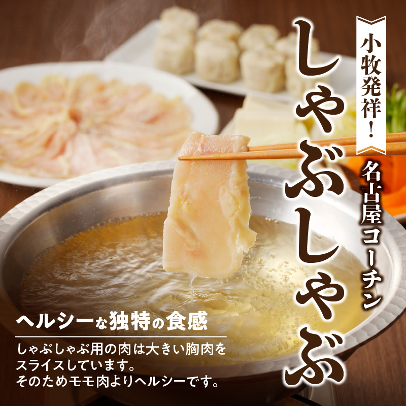 名古屋コーチンしゃぶしゃぶ＆コーチンシュウマイセット 日本三大地鶏 鶏しゃぶしゃぶ 鍋セット 鶏肉 鍋料理