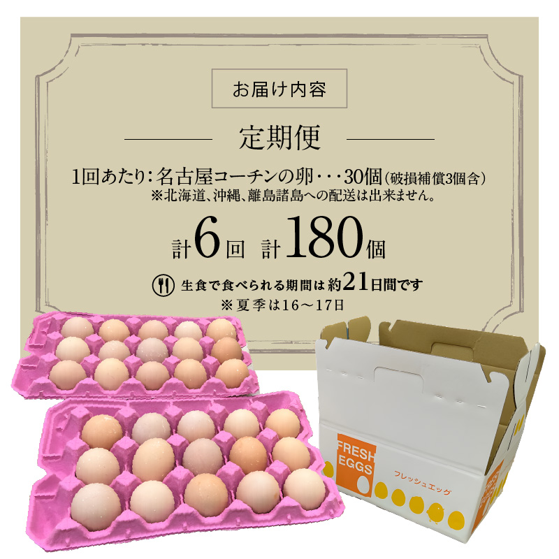 【6ヶ月定期便】名古屋コーチン卵(30個入り)×6回（計180個）