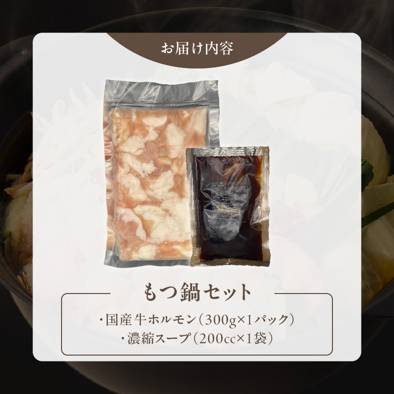 【食肉総合卸 丸正】厳選国産牛のもつ鍋セット（3人前）［153M16］