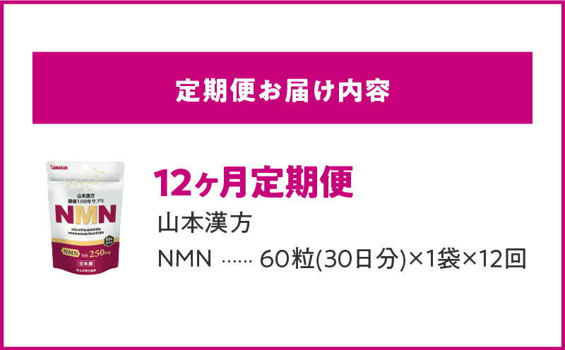 ＜12ヶ月連続定期便＞NMN