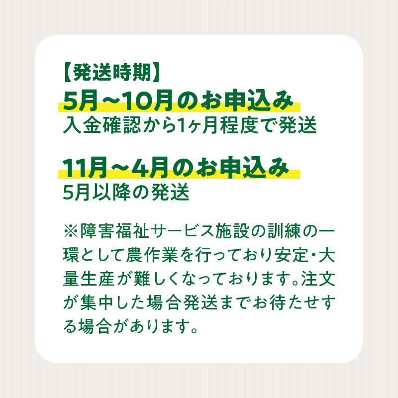 ネオコスモ農園で採れた小牧の野菜詰め合わせ　［ 新鮮 産地直送 採れたて 旬野菜 おまかせ 季節野菜 詰合せ セット 大容量 トマト ナス ピーマン かぼちゃ 冬瓜 ショウガ ネギ にんにく じゃがいも さつまいも 玉ねぎ など］