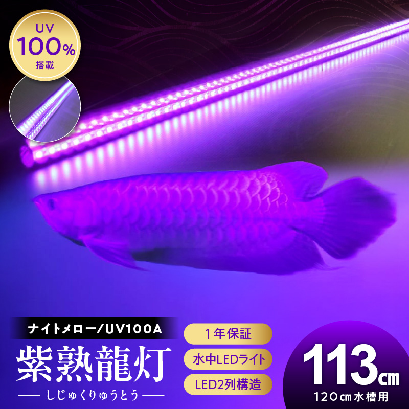 紫外線100%LEDで紅龍・金龍の色彩を引出す水中ライト|UVA100-120EX