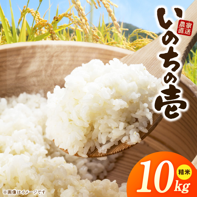 R7年産　「いのちの壱」（10kg）＜農家直送＞［208K10］