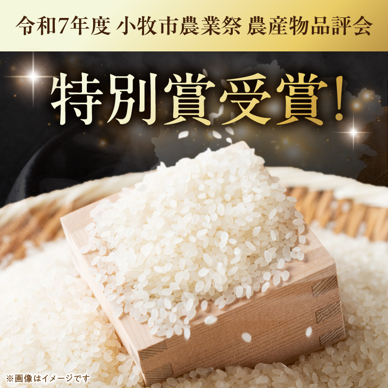 【R8年産新米 先行受付】「あいちのかおり」（5kg）＜農家直送＞［208K05］