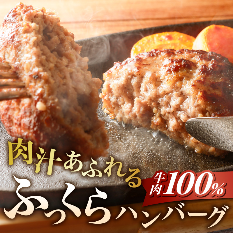 あさくまデミハンバーグ詰め合わせ 電子レンジ加熱可能 冷凍［052S14］
