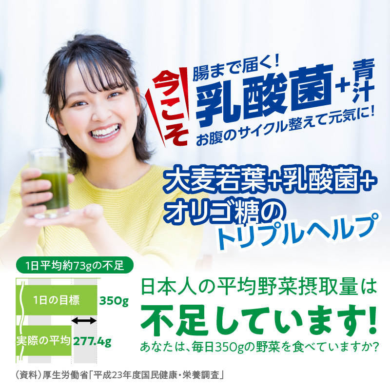 ＜2ヶ月に1度、3回送付定期便＞乳酸菌＋大麦若葉粉末60H