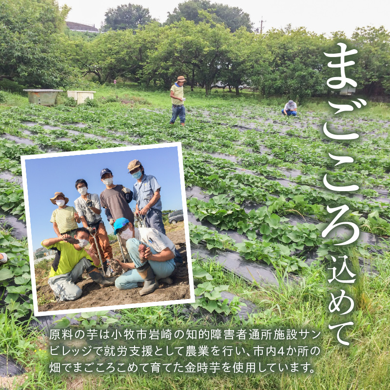 本格芋焼酎『Sun』720㎖ 2本セット