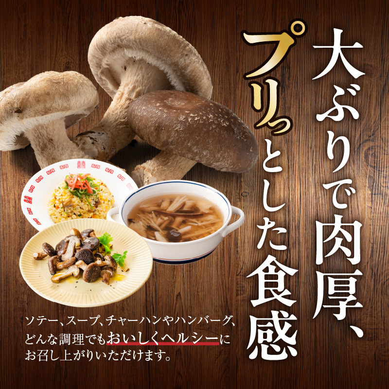 駒来ファームの 極上・肉厚 生しいたけ（生シイタケ 生椎茸 ）
