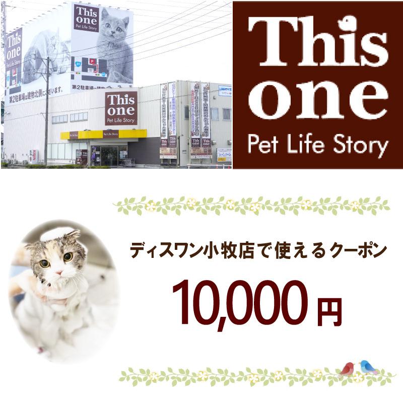 ディスワン小牧店で使えるクーポン券(10,000 円)