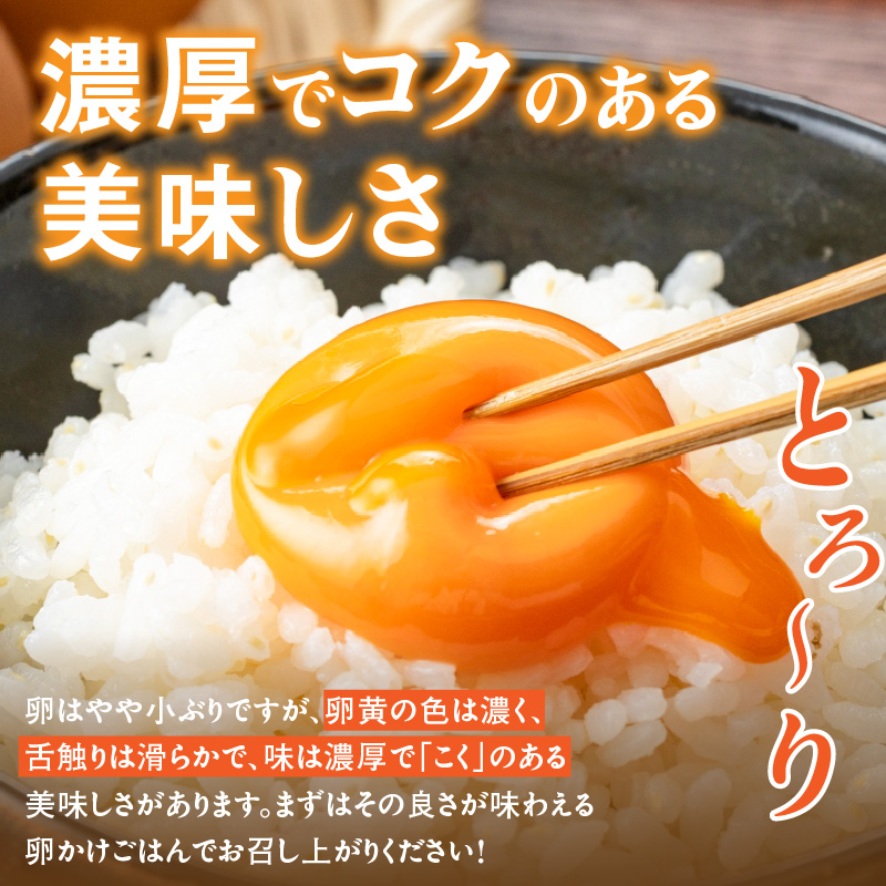 【山ちゃん家の生みたて葉酸たまご】赤玉元気卵（160個入り）　［ 新鮮 産地直送 大容量 高級 地鶏 たまご 卵 玉子 タマゴ 赤卵 葉酸卵 妊娠中 高齢者 朝食 卵料理 卵かけご飯 卵焼き 目玉焼き 山田養鶏 お取り寄せグルメ ］