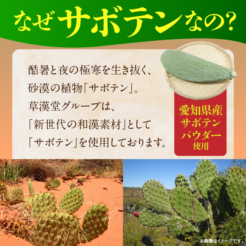 和漢サボテンのど飴　1袋
