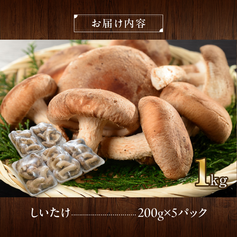 駒来ファームの 極上・肉厚 生しいたけ（生シイタケ 生椎茸 ）