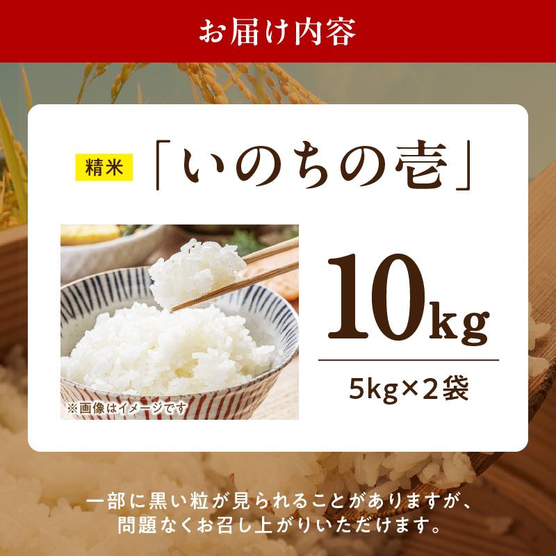 R7年産　「いのちの壱」（10kg）＜農家直送＞［208K10］