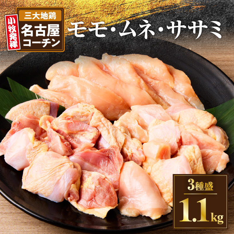 モモ ムネ ササミ 名古屋ｺｰﾁﾝ3種盛＜1.1kg＞大満足セット