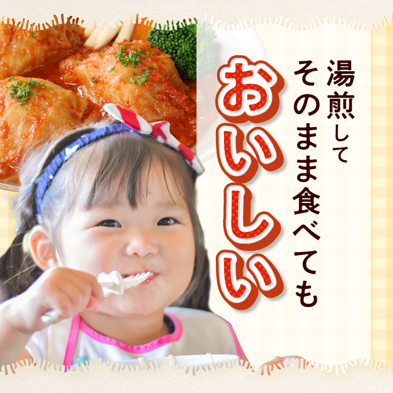 ＜3か月定期便＞国産キャベツと豚肉のロールキャベツ（12P入り）［022J47-T］