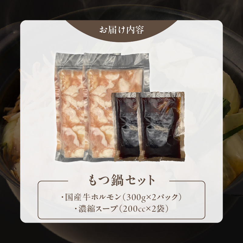 【食肉総合卸 丸正】厳選国産牛のもつ鍋セット（6人前）［153M17］