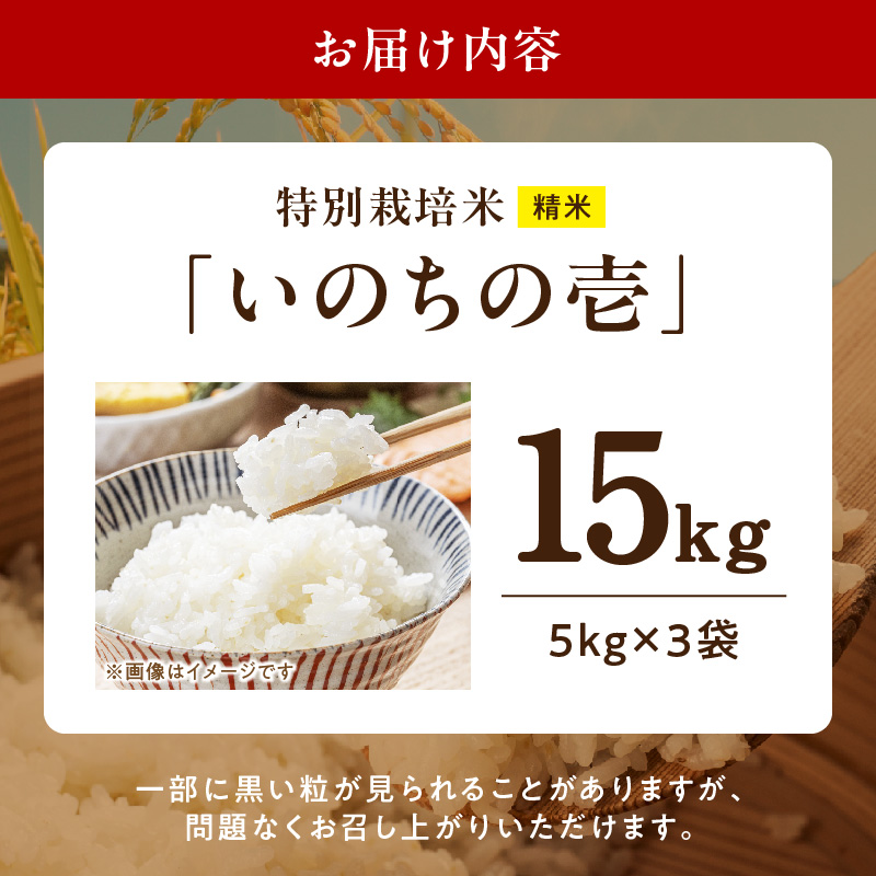 【R8年産新米 先行受付】特別栽培米「いのちの壱」（15kg）＜農家直送＞［208K03］